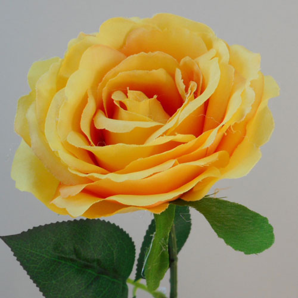 Artificial Rose Saffron Yellow 63cm Artificial Flowers